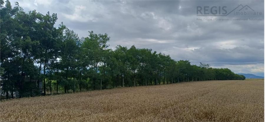 Teren de 39600 mp, în Hărman