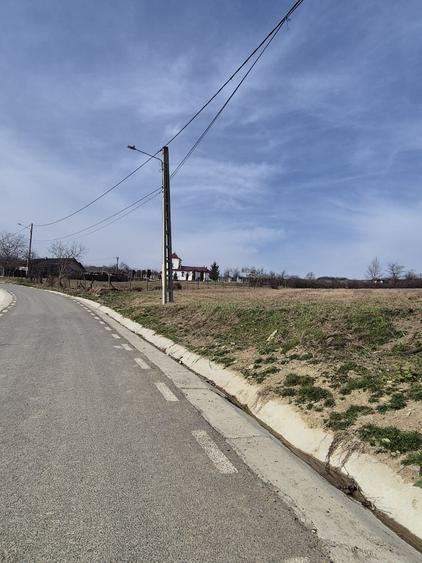 Teren intravilan Tomesti-Goruni - 4