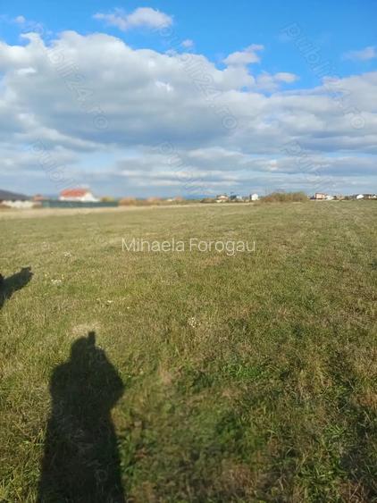 Vand teren intravilan in Sanmartin, str.Nicolae Balcescu