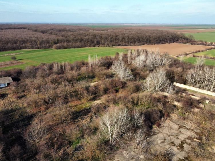 Teren Construcții intravilan de 70291 mp, în Micșunești-Moară