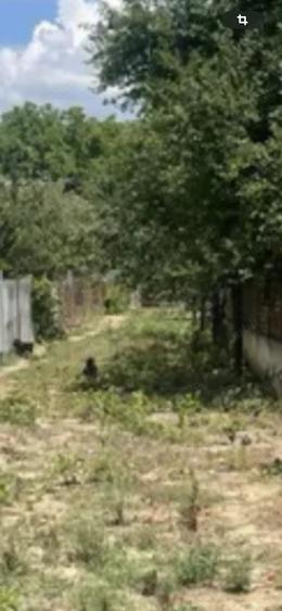 Teren de 5 mp, în Ciofliceni