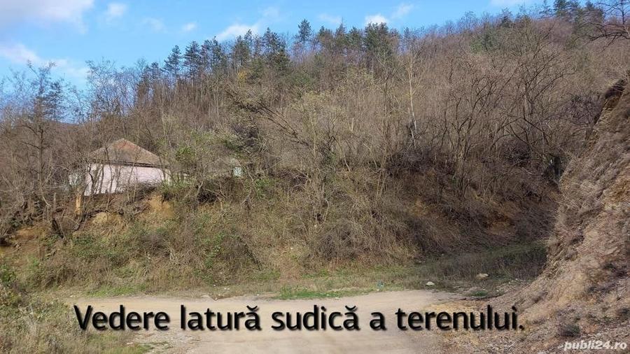 Teren în Pecinișca