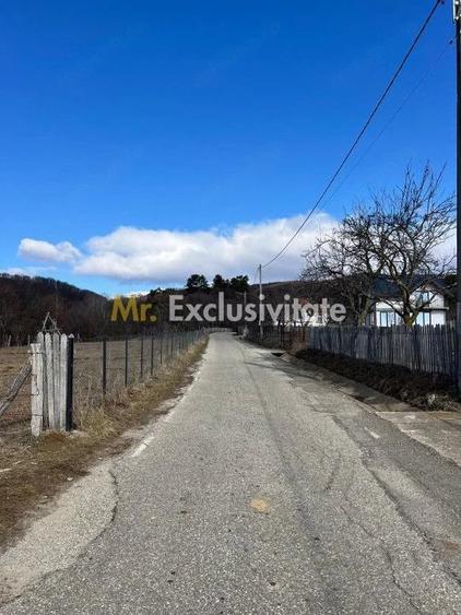 Teren de 1542 mp, în Cicănești