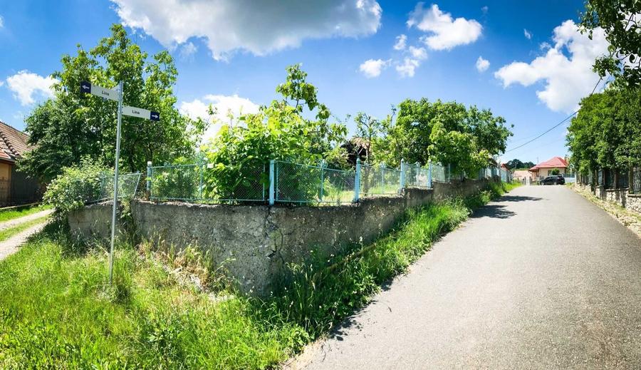 Casă cu 2 camere în Ceanu Mic