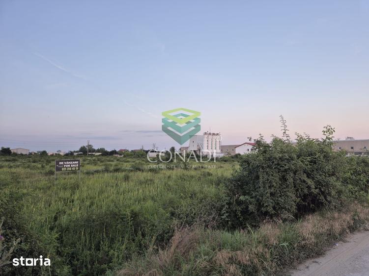 Teren de 23943 mp, în Clinceni
