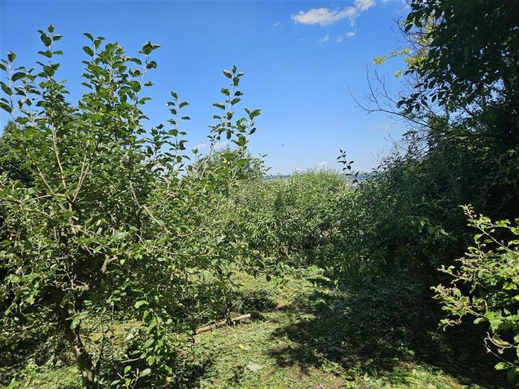 Teren intravilan de 705 mp, în Est