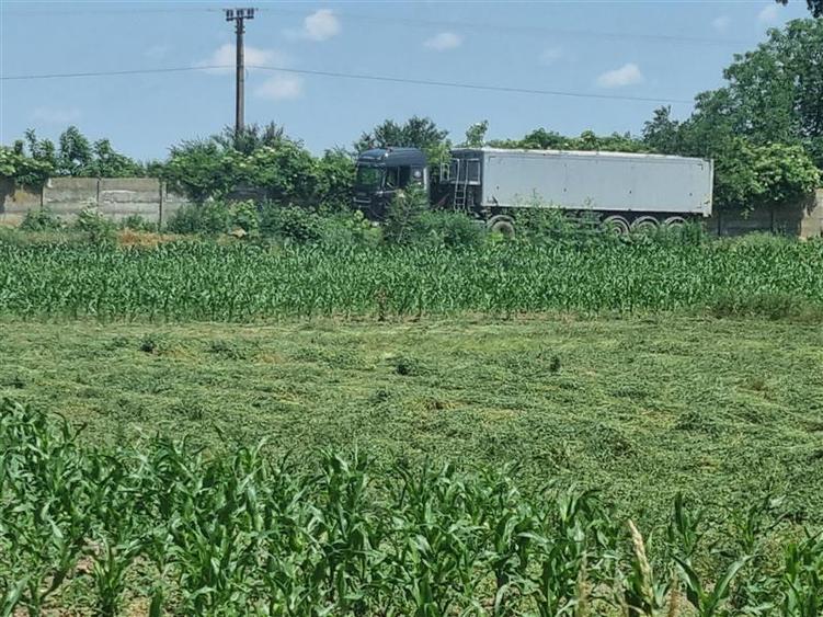 Teren agricol extravilan de 27500 mp, în Șerbești