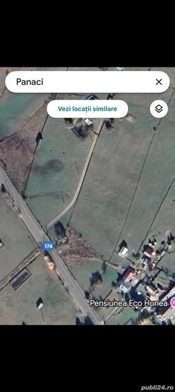 Teren de 4949 mp, în Panaci