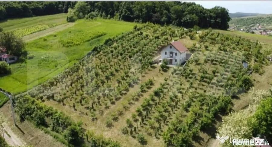Casă cu 5 camere cu Teren 300 Mp în Grebenișu de Câmpie