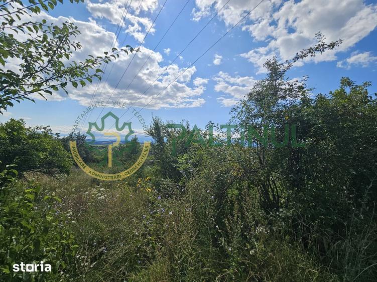 Teren de 2134 mp, în Câineni