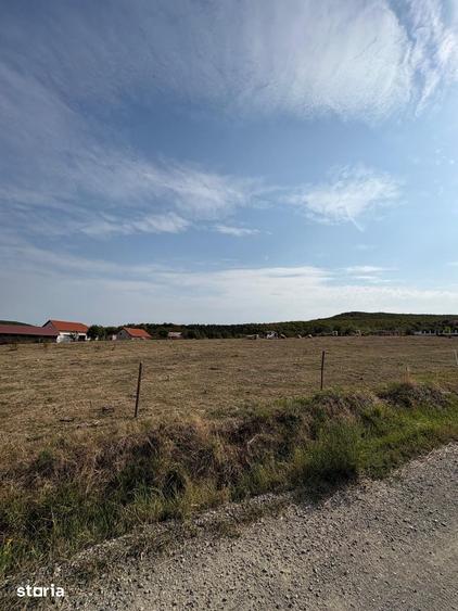 Teren de 20000 mp, în Central