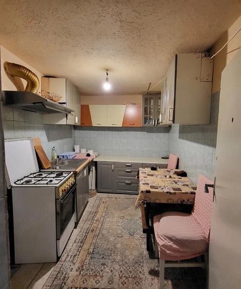 Casă cu 3 camere cu Teren 146 Mp în Tei