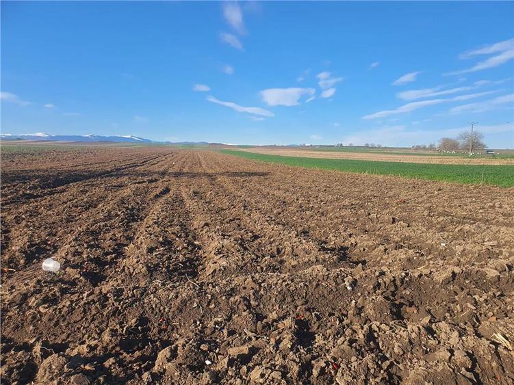 Teren extravilan 4.500- max.18.300mp in comuna Rosia (17 km de Sibiu) - 6
