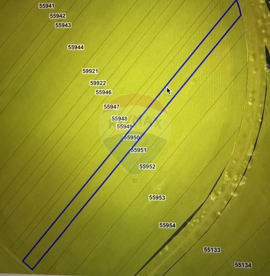 Teren agricol de 5000 mp, în Jilava
