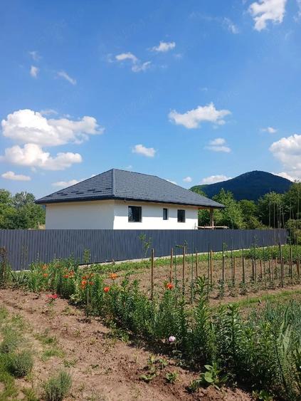 Casă cu Teren 850 Mp în Vad