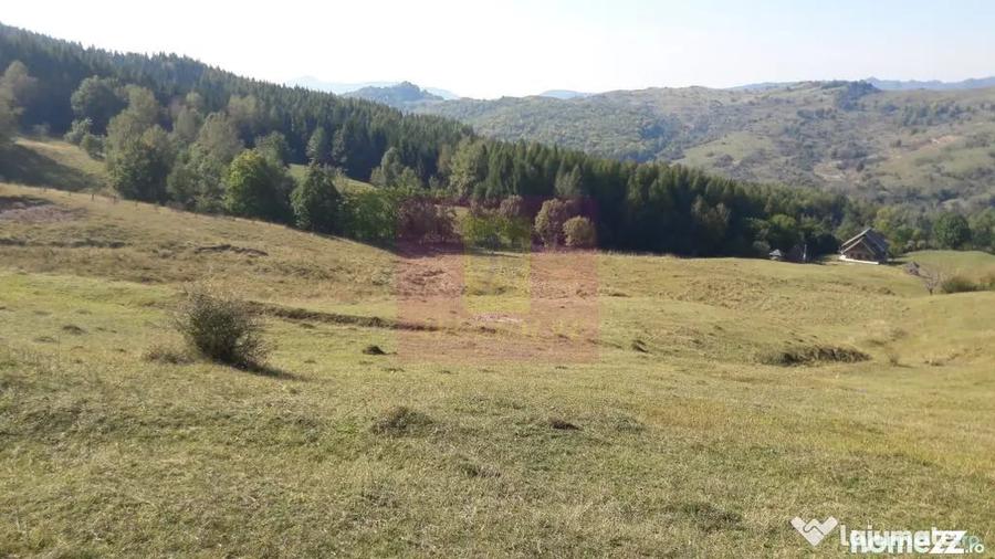 Teren de 9037 mp, în Plaiul Tălii
