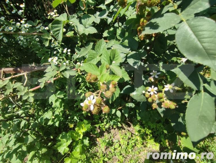Casă cu 8 camere cu Teren 992 Mp în Cătămărești