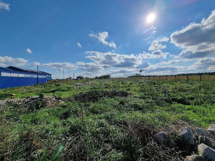 Teren de 3000 mp, în Limanu