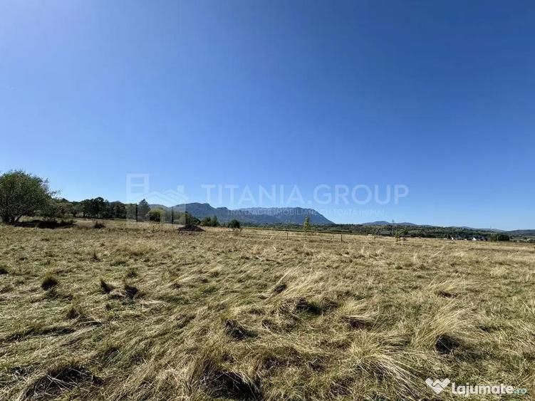 Teren de 1200 mp, în Sohodol