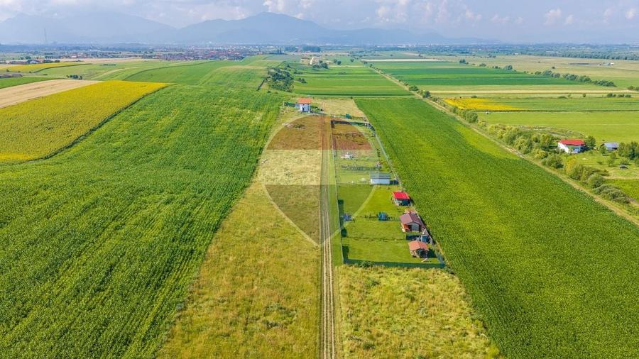 Teren Construcții extravilan de 563 mp, în Bod