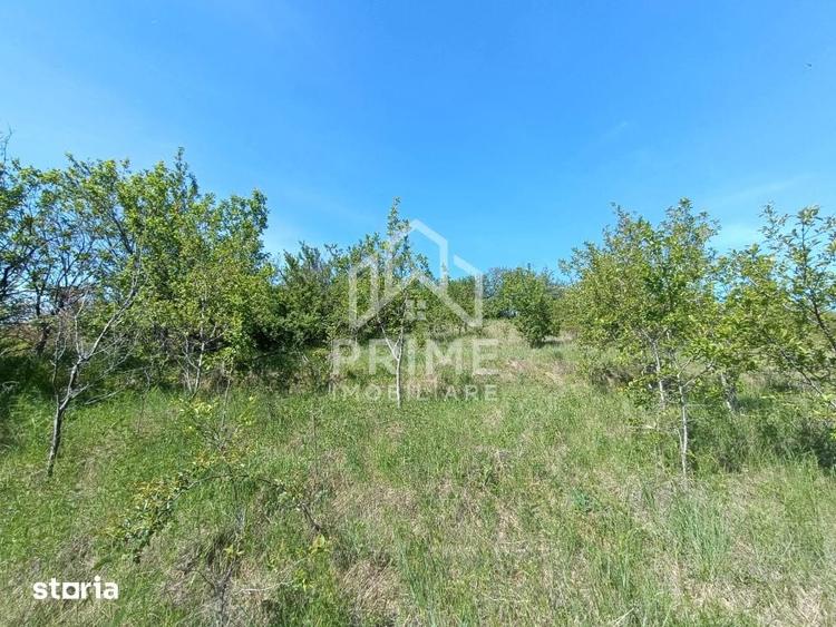 Teren de 2160 mp, în Central