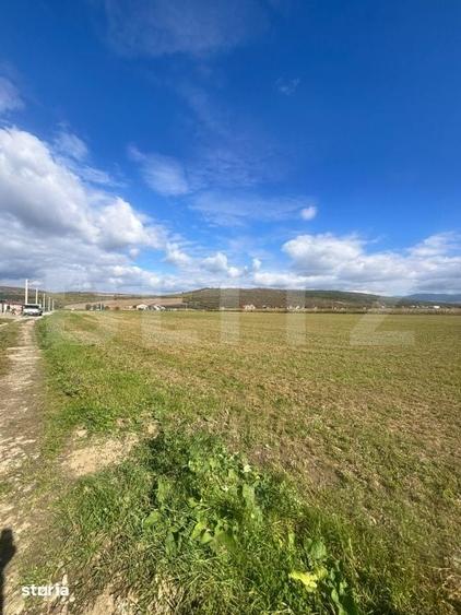 Teren Extravilan in Apropiere de Jelna 25.800 mp, cu Utilitati - 3