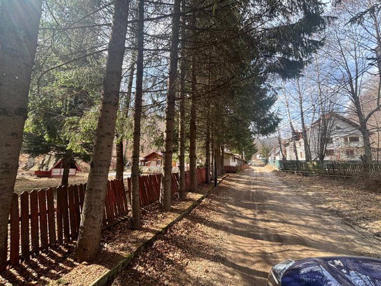 Teren agricol extravilan de 39.5 mp, în Măneciu