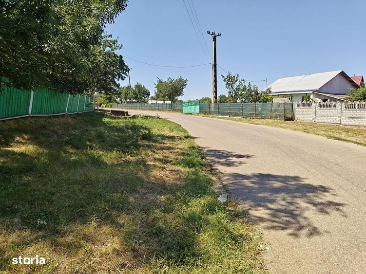 Doua case si 9.300 mp de teren in zona Bogdanesti - 4