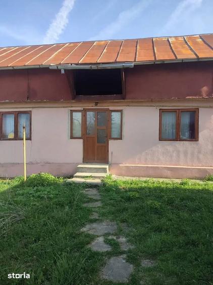 Teren de 5973 mp, în Provița de Jos