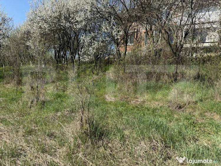Teren intravilan in localitatea Criseni in suprafata de 2700 - 2