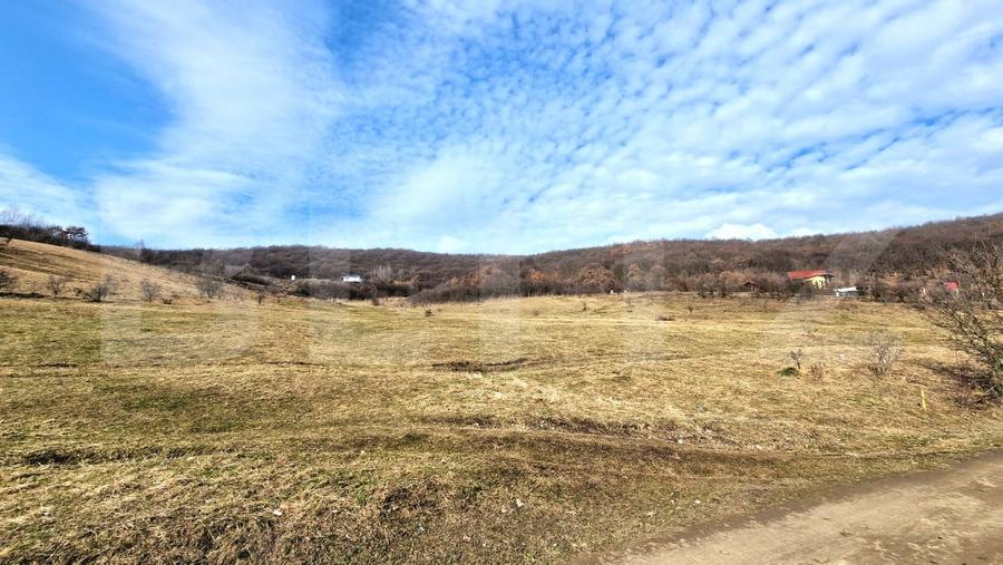 Teren Construcții intravilan de 4100 mp, în Florești
