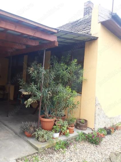 Casă cu 3 camere cu Teren 23000 Mp în Moftin