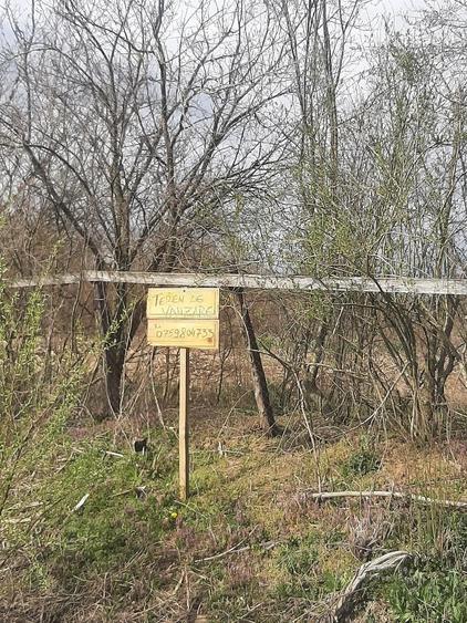 Teren de 2000 mp, în Sânnicolau Român