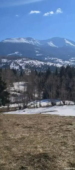Teren intravilan 3900mp,39arii Borsa Maramures,65000euro - 2