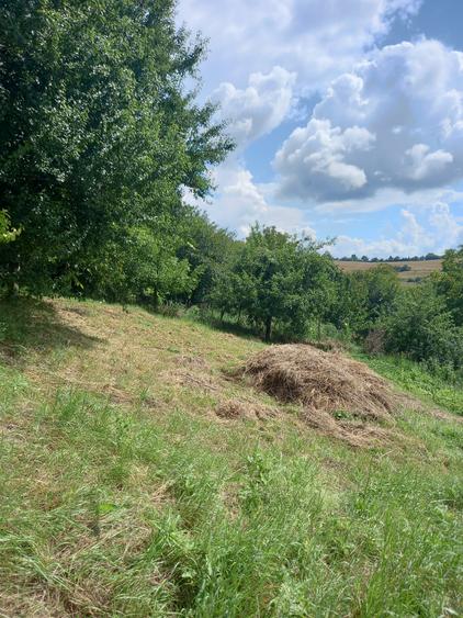 Teren Construcții intravilan de 1048 mp, în Dâmbu Pietros
