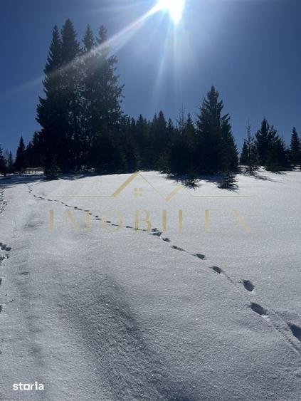 Teren de 800 mp, în Măguri