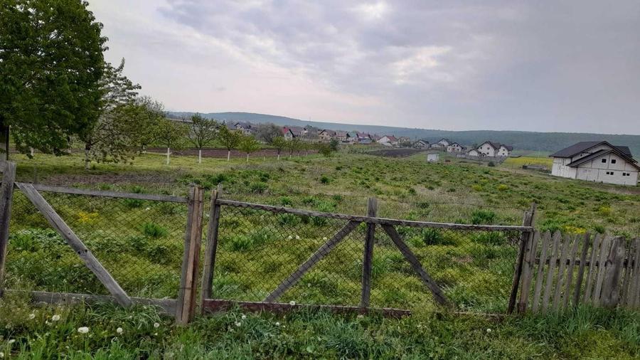 Teren de 5900 mp, în Mitocu Dragomirnei
