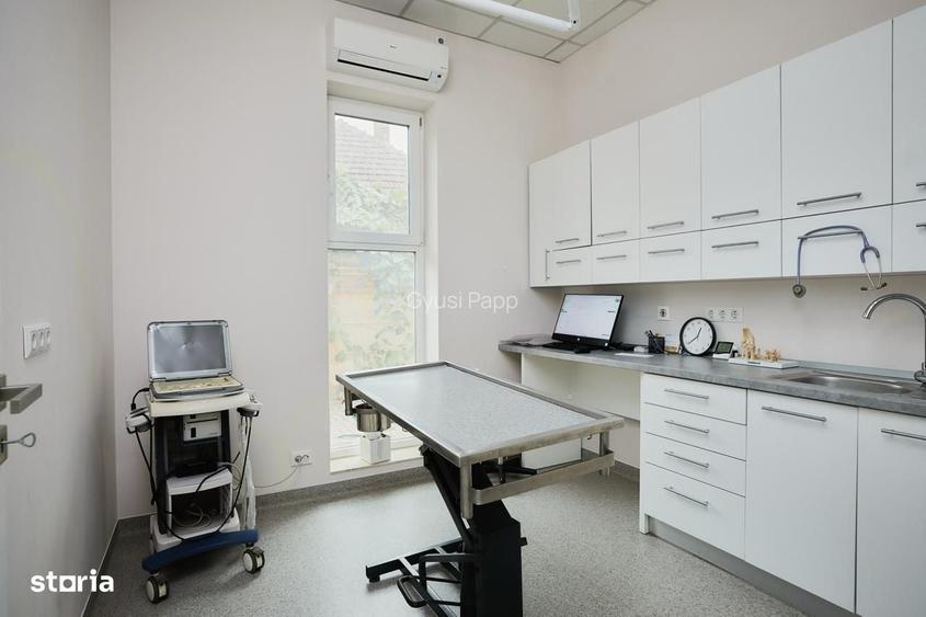 Spatiu comercial 160 mp + depozit 40 mp, Careiului 96