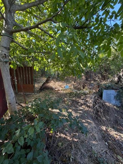 Casă individuală cu 3 camere cu Teren 1683 Mp în Coșoveni
