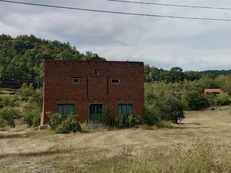 Teren Construcții intravilan de 6354 mp, în Mihăileni