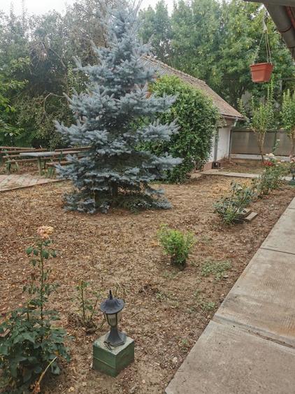 Casă cu 3 camere în Corbeanca
