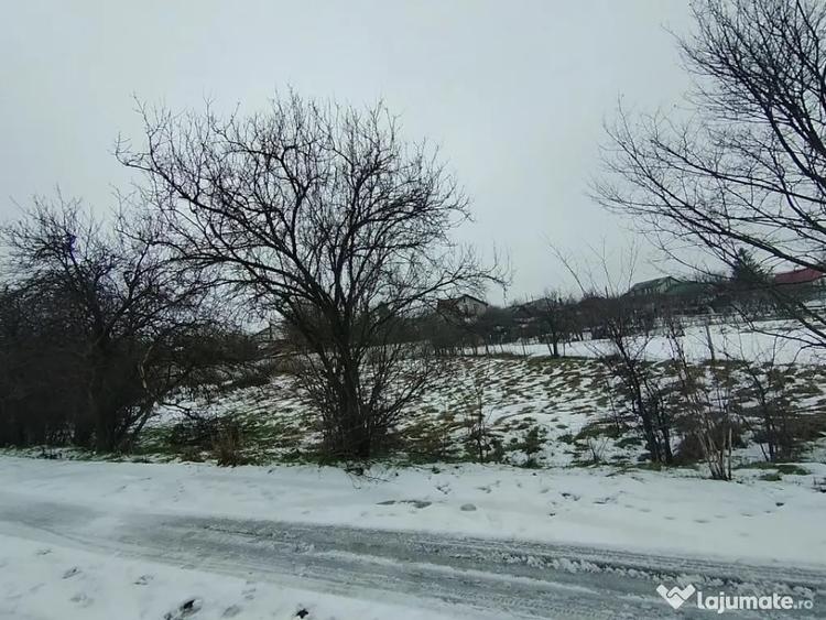 Teren de 640 mp, în Mischii