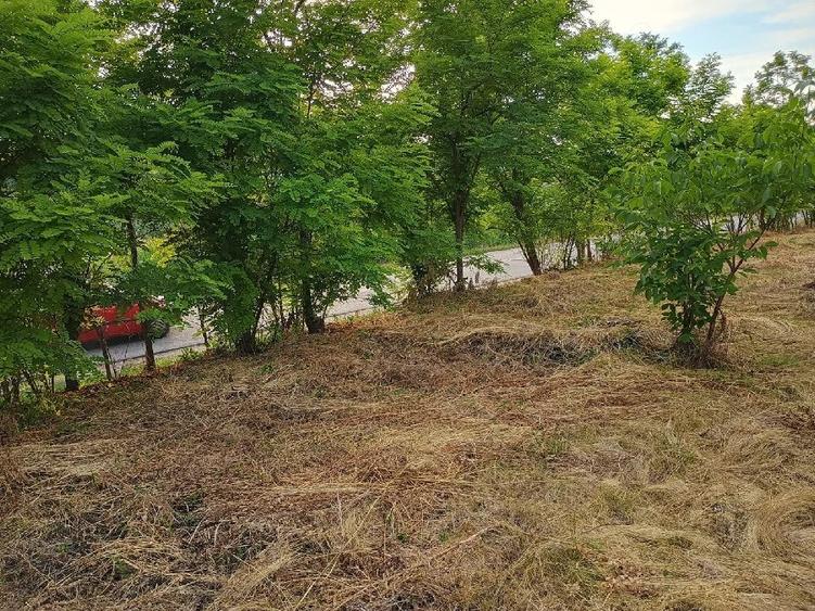 Teren de 4000 mp, în Florești
