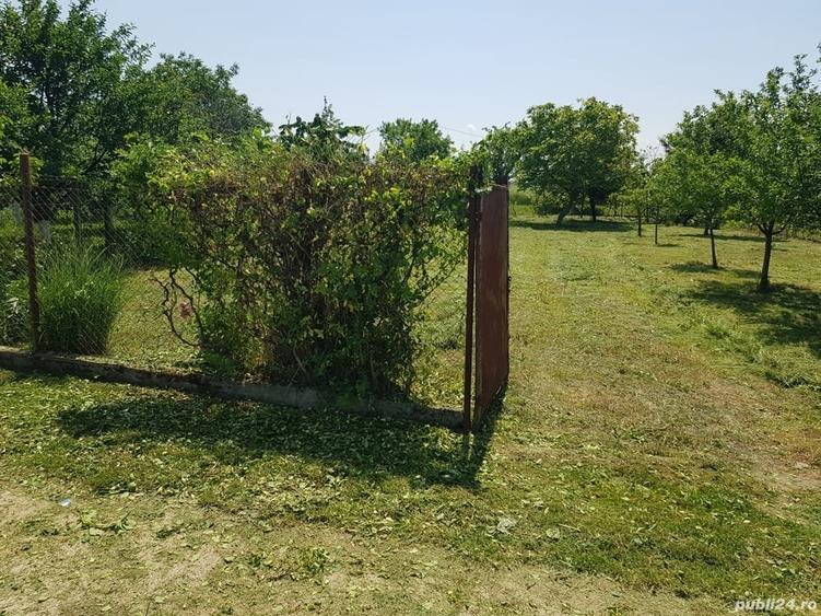 Teren de 600 mp, în Careiului
