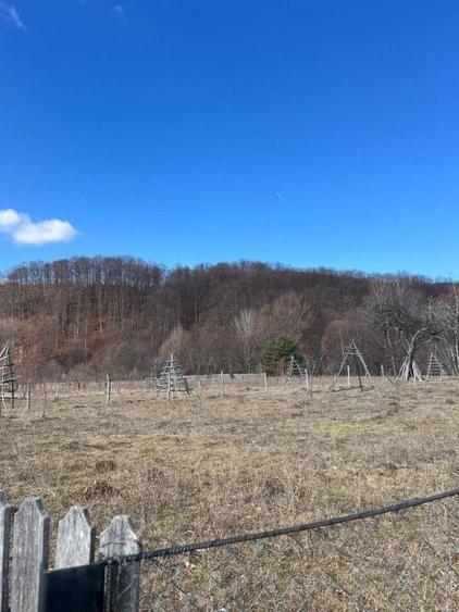 Teren agricol extravilan de 1542 mp, în Cicănești