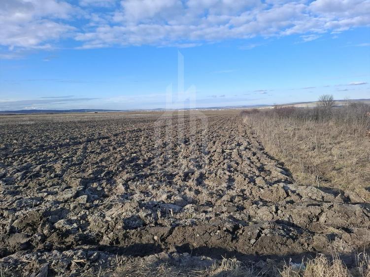 Teren agricol intravilan de 4300 mp, în Cristian