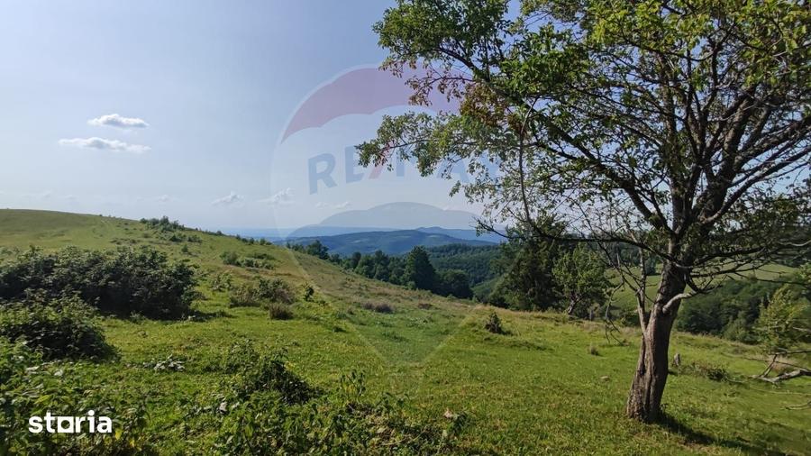 Teren de 128948 mp, în Negreni