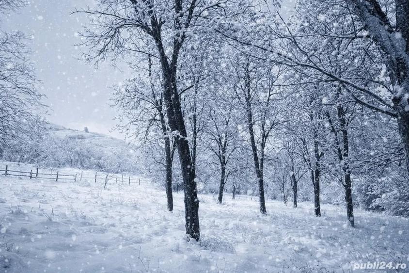 Teren de 3000 mp, în Tiocu de Jos