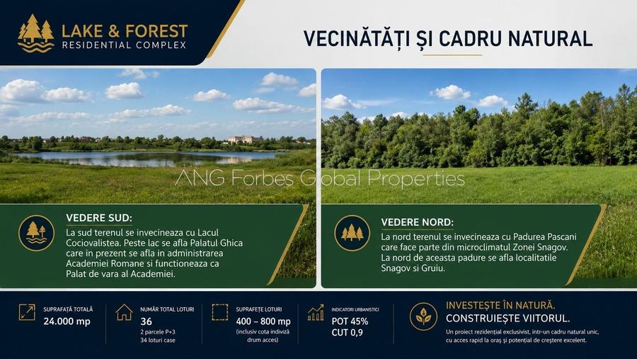 Teren intravilan de 24000 mp, în Moara Vlăsiei