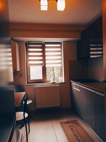 Apartament cu 2 camere decomandat, mobilat în Banat